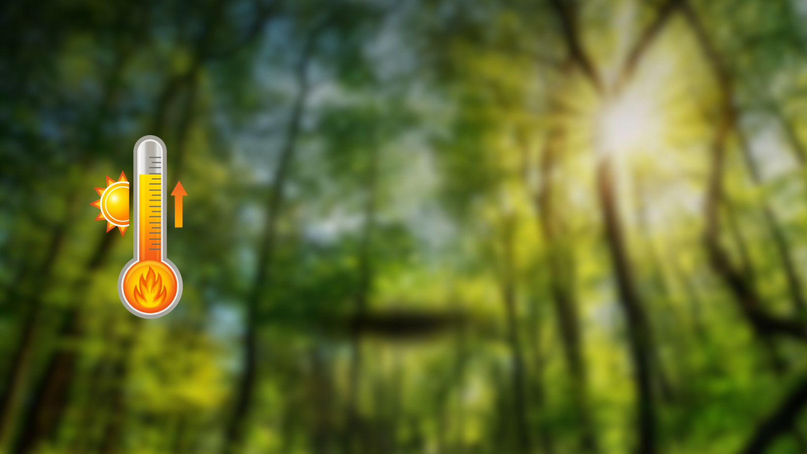 Cooling Centres Open, Tuesday and Thursday